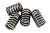 EBC CSK Clutch Spring Kit