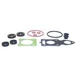 Gear Housing Seal Kit 18-0031