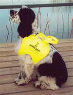 Doggie Vest, Yellow, Small, 11-15"