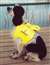 Doggie Vest, Yellow, Medium, 15-19"