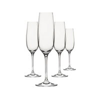 Shatterproof Champagne Drinkware, Set of 4