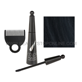 ColorMark Gray Roots Gone Instantly Touch-Up 2429 Rich Black