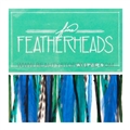 Fine FeatherHeads Wispers Peacock - Longs