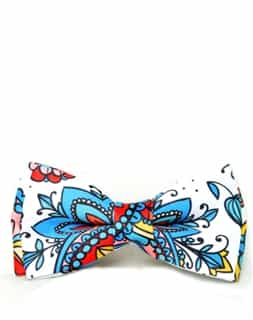 Paisley Bow Ties: Men Designer Paisley Bow Ties