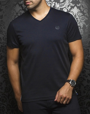 Men navy designer V-neck  t-shirt