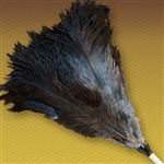 Aluminum handled extension duster. Full duster including head extends from 22" to 29 with a black ostrich feather head 10" in length (NON-detachable)