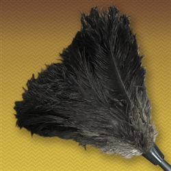 18" Black Feather Duster Replacement Head w/ Handle
