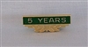 5 Year Pin