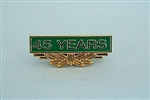 45 Year Pin