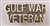 Golf War Vet Conflict Pin