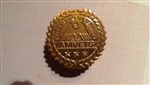3" Bronze AMVET Logo