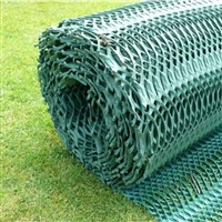Green Grass Protection Mesh by Typar