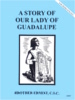Story of Our Lady of Guadalupe, In the Footsteps of the Saints Series