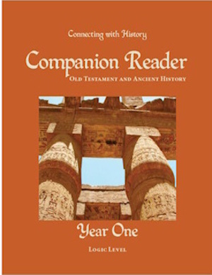 Companion Reader Year 1 - Logic level