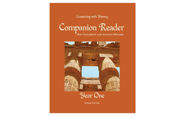 Companion Reader Year 1 - Logic level