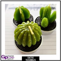 2020 March Box Cactus Tea Candle Trio