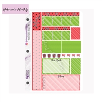 Watermelon Days Hobo Monthly Kit