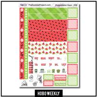 Watermelon Days Hobo Weekly Kit