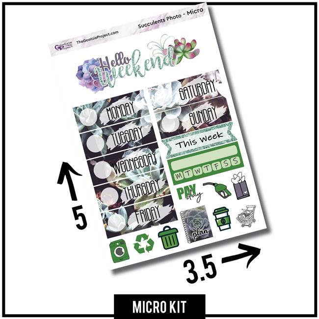 Succulents Photo Micro Kit