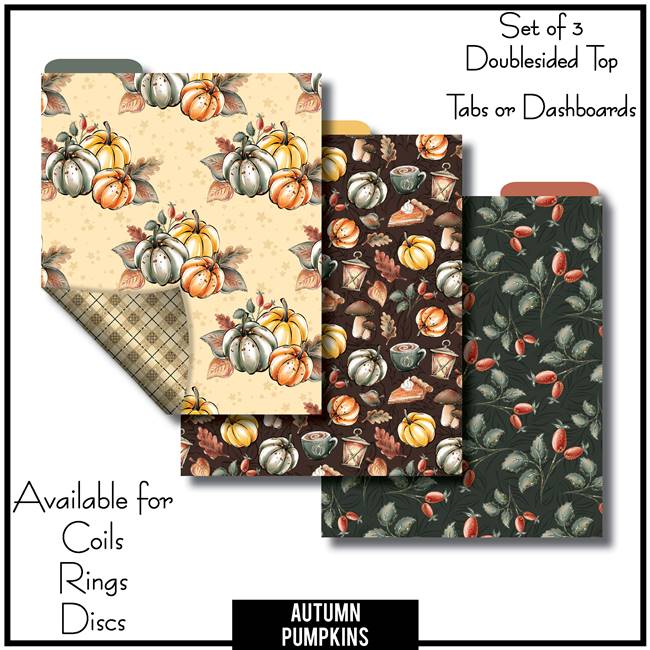 Autumn Pumpkins Tabs or Dashboards 3 Top Set A