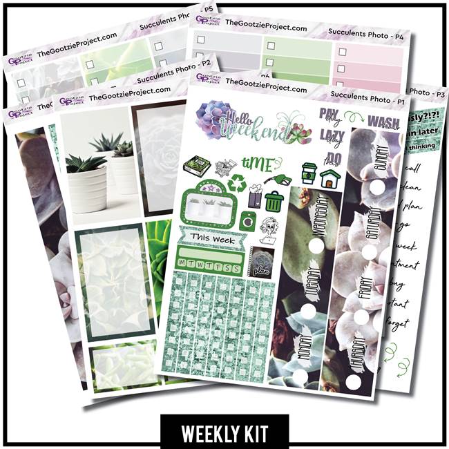 Succulents Photo Happy Planner Weekly
