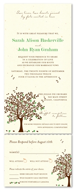 Send n Sealed Wedding invitations on 100% Recycled Paper - Apple Tree