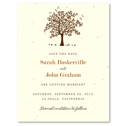 Apple Tree Wedding Save the Date cards