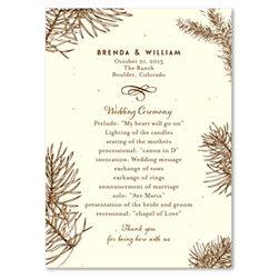 Aspen Wedding Programs Cream Seeded Paper with pines and cones