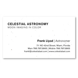 Seeded Paper Business Cards | Celestial