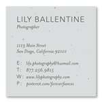 Unique Business Cards | Charming and Simple (seeded paper)