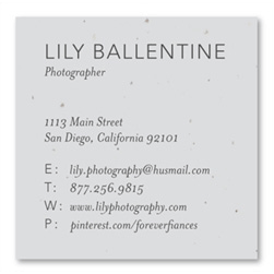 Unique Business Cards | Charming and Simple (seeded paper)