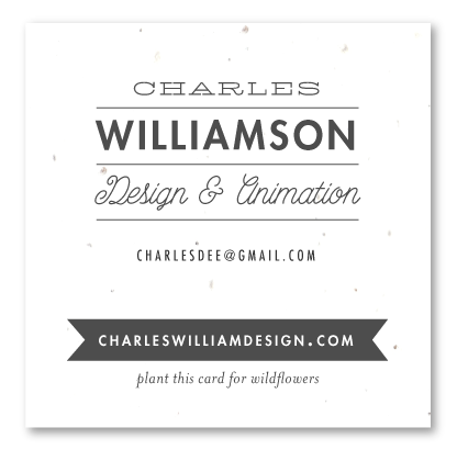 Seeded Paper Business Cards | Modern Ribbon