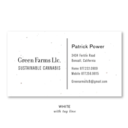 Seeded Paper Business Cards | No2