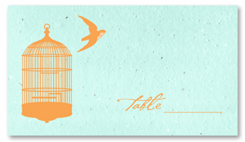 Tiffany Blue Place Cards - Bird's Escape