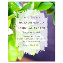Lemon Tree Wedding Invitations | Citrus Blossoms (100% recycled paper)