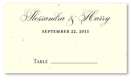 Seeded Paper Wedding Place Cards | Elegant Reception