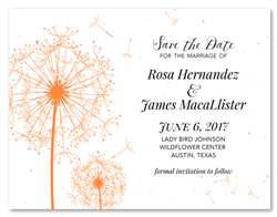 Dandelion Wedding Invitations ~ Ever Wish (seeded paper)