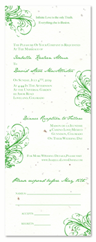 peacock Wedding Invitations  Fleur de Feux with gold