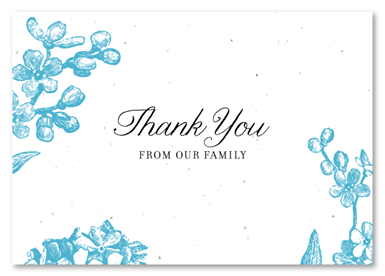 Plantable Thank you cards ~ Forget me not