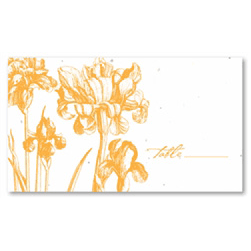 Seed Paper Place Cards - Happy Days