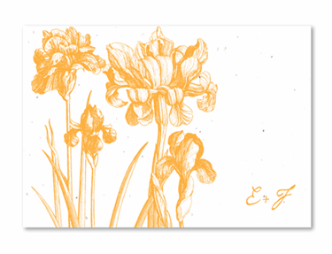 Seed Paper Thank You cards | Happy Lilies (100% recycled paper)