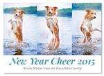 Pet Holiday Photo Cards | Jump for Joy (100% recycled paper)
