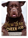 Pet Holiday Cards | The Lab (100% recycled paper)