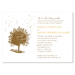 Living Tree Wedding Invitations (plantable)