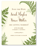 Fern Wedding Announcement Cards | Lovely Fern