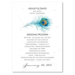 Unique Wedding Programs ~ Peacock (white seeded paper, Teal and Green)