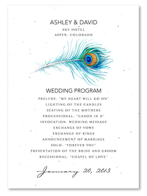 Unique Wedding Programs ~ Peacock (white seeded paper, Teal and Green)