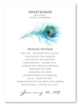 Unique Peacock Feather Wedding Programs