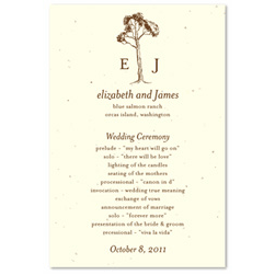 Tree Themed Wedding Programs ~ Pine Gap (seeded paper)