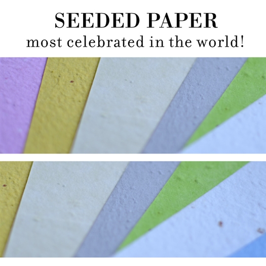 Plantable Paper, Seeded Paper, Wildflower seeded paper, Plantable Herb Paper